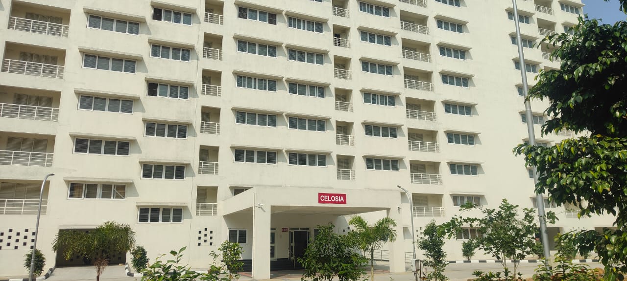 celosia hostel